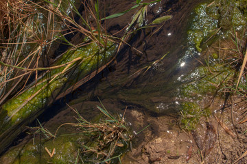 Textura Agua
