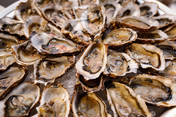 fresh opened oysters on plate arranged circularly