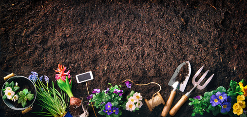 Gardening tools and flowers on soil