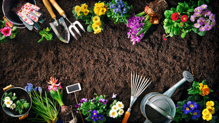 Gardening tools and flowers on soil