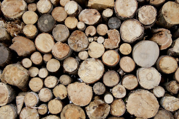 pile of wood