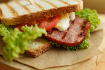 Closeup juicy sandwich with bacon, fresh vegetables, green salad and dark lines after grill