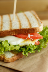 Closeup juicy sandwich with bacon, fresh vegetables, green salad and dark lines after grill