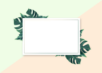 Naklejka na ściany i meble Empty white summer and spring nature on pastel background with green leaves and circle frame for copy space or text creative advertising.