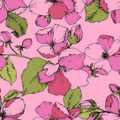 Vector Pink Apple blossom floral botanical flower. Engraved ink art. Seamless background pattern.