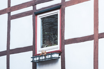 Fototapeta na wymiar single window of a timber framed house with red frame and a pot for flowers in front of the window