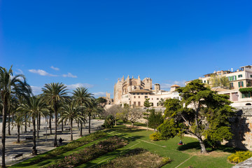 The Cathedral of Santa Maria of Palma