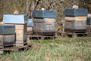 bee keeping inventory, bee houses