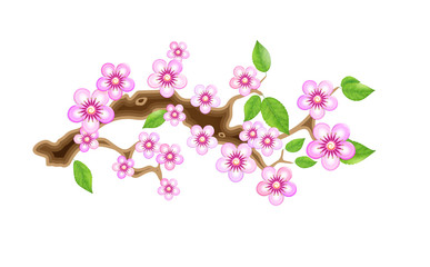Branch sakura, vector illustration cherry blossom, with flowers in anime style. Unorthodox East Asian decoration tradition in partially animated stylistic solution. EPS 10