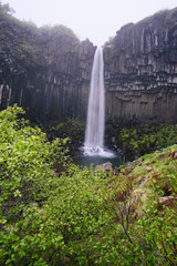 Svartifoss Waterfall, Iceland