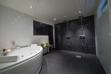 Bathroom with modern Sauna and Jaquzzi, Interior Photo