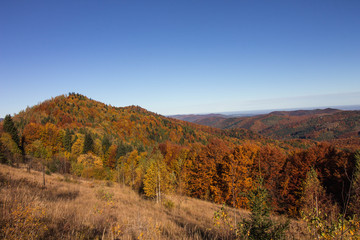Fototapeta na wymiar Autumn in Carpatians mountains Ukraine Lypovitca