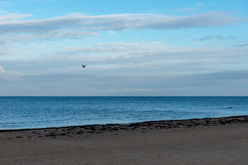empty sandy beach by the sea