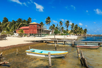 Fototapeta na wymiar Palm Trees on the Sandy Beach, Belize 