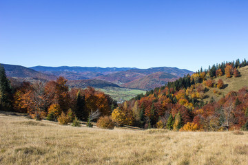 Autumn in Carpatians mountains Ukraine Lypovitca