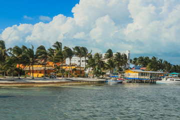 Palm Trees on the Sandy Beach, Belize 