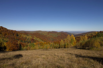 Fototapeta premium Autumn in Carpatians mountains Ukraine Lypovitca