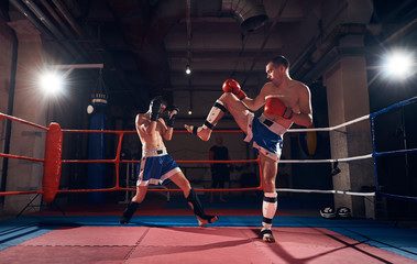 Handsome sportsman kickboxer practicing kickboxing with sparring partner in the ring at the sport...