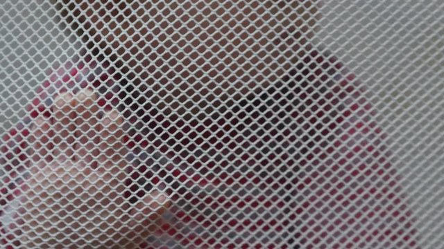 A Little Boy Sitting In A Playpen