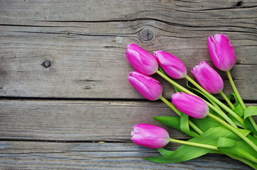 beautiful pink tulips on wooden vintage background. Mother's Day  design concept.