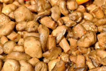 Grilled mushrooms champignons