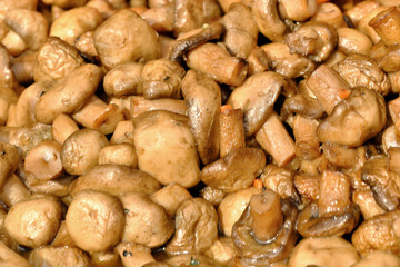 Grilled mushrooms champignons