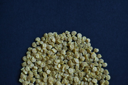 seeds of sweet pepper for garden. High resolution photo. pepper seeds on the dark background. permaculture.