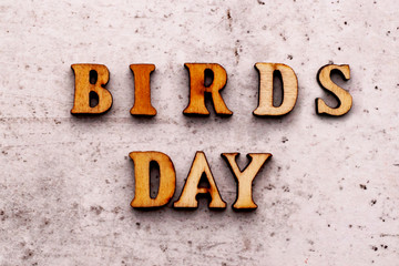 Inscription BIRDS DAY in wooden letters on a light background