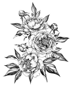 black and white peony floral arrangement clip art preview