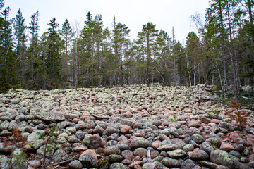 Parc National de Skuleskogen