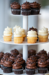 An assortment of yellow and chocolate cupcakes