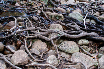 Parc National de Skuleskogen
