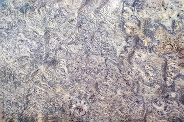 Real burl wood striped for Picture prints interior decoration car, Exotic wooden beautiful pattern for crafts or abstract art background texture