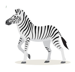 Fototapeta na wymiar African animal, cute funny zebra icon isolated on white background, vector