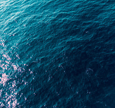 water background © seakitten