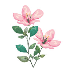 beautiful flowers decorative icon