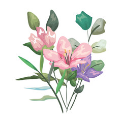 beautiful flowers decorative icon