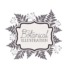 botanical illustration label with plants