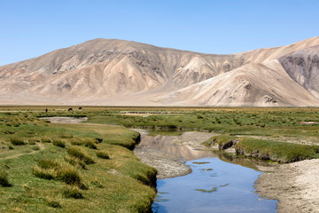 Small river in Bulunkul in the Pamir mountains in Tajikistan