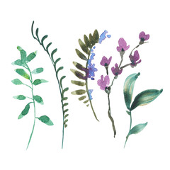 Natural Watercolor Botanical Set of Green Leaves, Wildflowers, Twigs