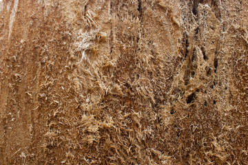 The texture of the old sawed tree trunk.