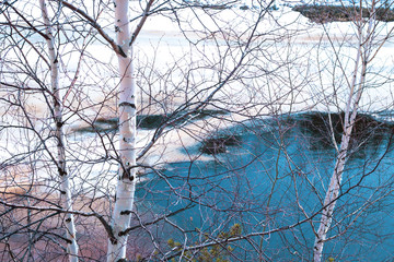 river with melting ice in spring through the branches of trees