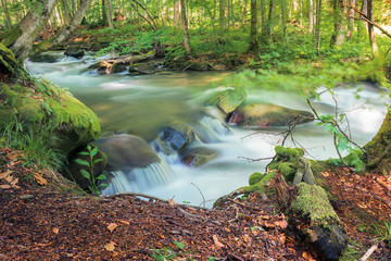 Fototapeta na wymiar cascade on the forest river in springtime. beautiful nature scenery. view from the edge of a bank. long exposure, sunny day
