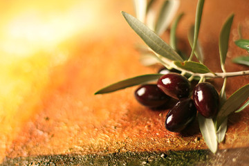 Aceitunas cornicabra