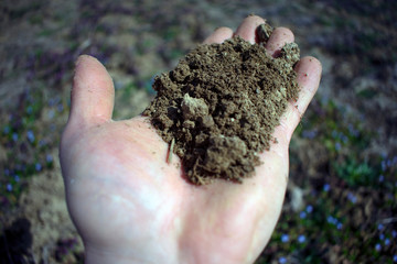 Soil in mans hand, man holding soil in hand.