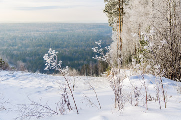 frosty day in winter