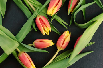 Yellow red flowers tulips bouquet with green leaves and stem on a black slate background  flat lay top view