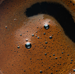 coffee and coffee beans	