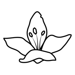 beautiful flower decorative icon