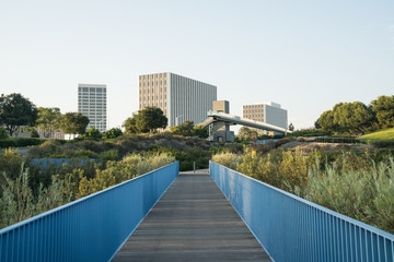 Newport Beach Skyline & Park 